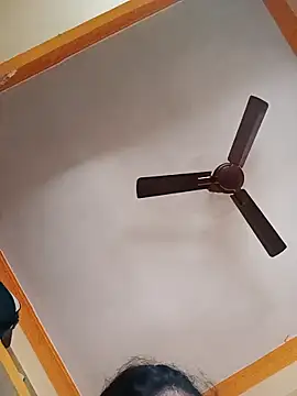 NISHU-TELUGU online show from 4, 3, 2026