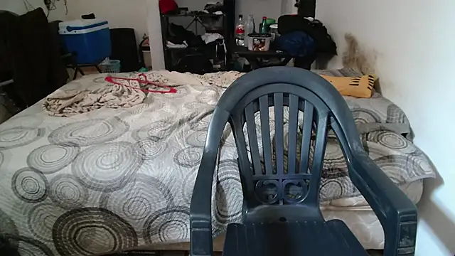 Leonino231 online show from 14, 2, 2026