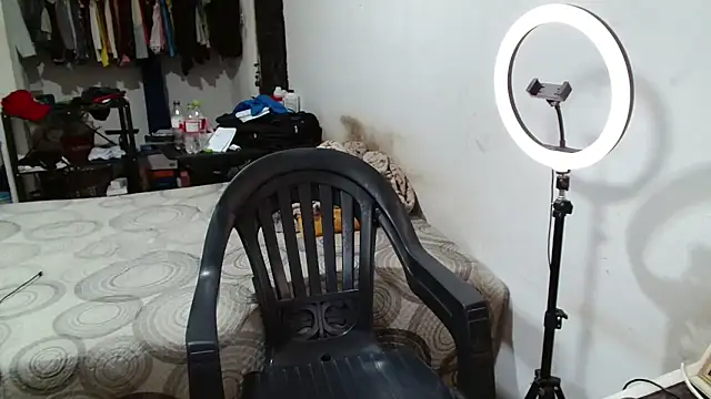 Leonino231 online show from 28, 3, 2026