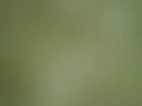 Snapshot of Quarentaoon chatting on 4, 10, 2025 Quarentaoon online show from 4, 10, 2025