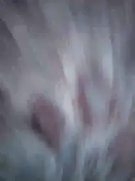 Aliyeni1 online show from 17, 4, 2026