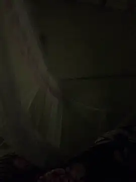 NhuFox online show from 19, 11, 2025