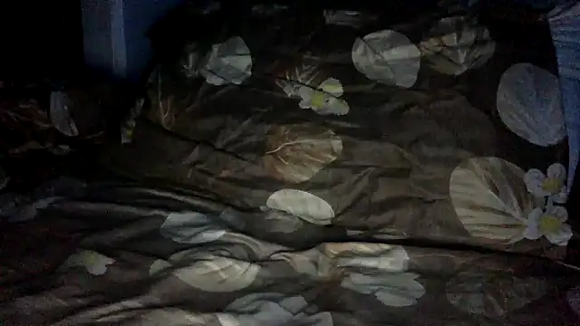 Snapshot of AmMadness chatting on 21, 12, 2025 AmMadness online show from 21, 12, 2025