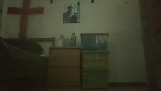 TomasCramp online show from 13, 4, 2026