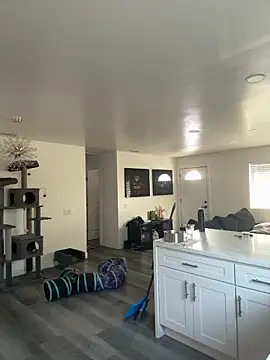 Snapshot of blazeyblake chatting on 6, 2, 2026 blazeyblake online show from 6, 2, 2026