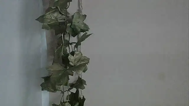 Snapshot of angelainparis28 chatting on 2, 12, 2025 angelainparis28 online show from 2, 12, 2025