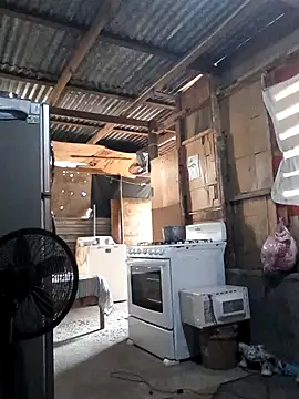 Snapshot of Steehood chatting on 20, 11, 2025 Steehood online show from 20, 11, 2025