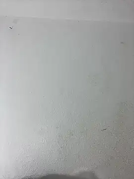 LICEET online show from 5, 10, 2025