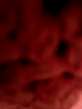 Snapshot of Gusttavotesudoxxvvc chatting on 18, 9, 2025 Gusttavotesudoxxvvc online show from 18, 9, 2025