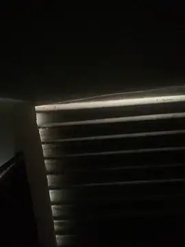 Snapshot of envolvemteX chatting on 1, 3, 2026 envolvemteX online show from 1, 3, 2026