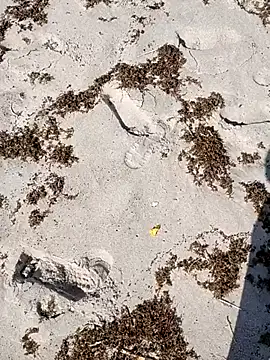 sarahkat86 online show from 4, 10, 2025