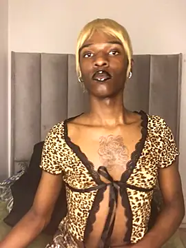 Trans fairy online show from 25, 10, 2025