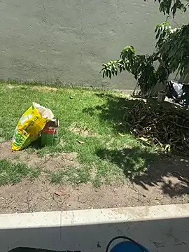 Snapshot of XUCRUTES42 chatting on 7, 2, 2026 XUCRUTES42 online show from 7, 2, 2026