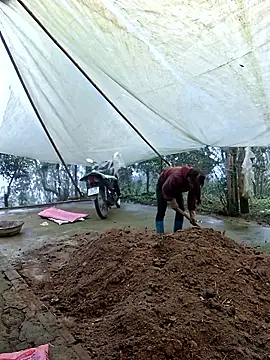 ngocngoc cute online show from 7, 3, 2026