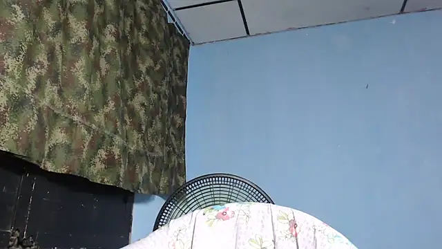 maggi hotsson online show from 17, 11, 2025