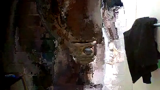 Snapshot of Ziphoo2 chatting on 16, 11, 2025 Ziphoo2 online show from 16, 11, 2025