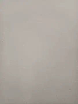 Snapshot of Chadni_kannada chatting on 29, 11, 2025 Chadni kannada online show from 29, 11, 2025