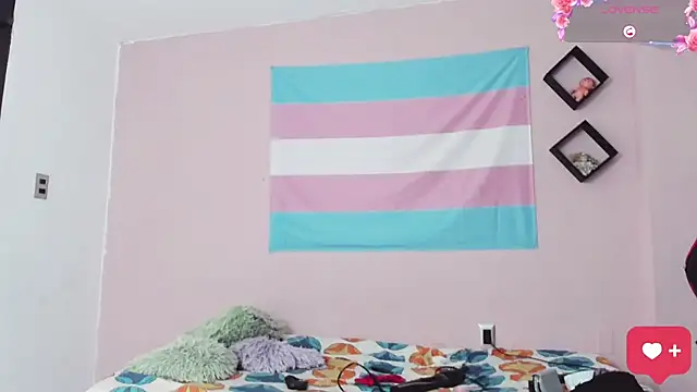 Melisa Bunny69 online show from 14, 11, 2025