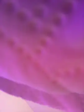 Snapshot of AmberMoss1 chatting on 27, 11, 2025 AmberMoss1 online show from 27, 11, 2025