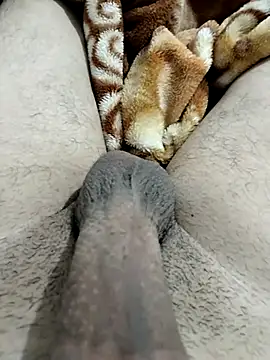 Zepe 12 online show from 12, 2, 2026