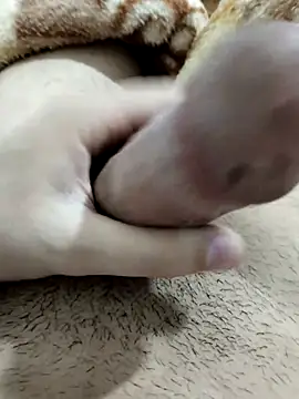 Zepe 12 online show from 13, 2, 2026