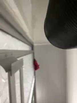 JuanitaMore01 online show from 7, 10, 2025