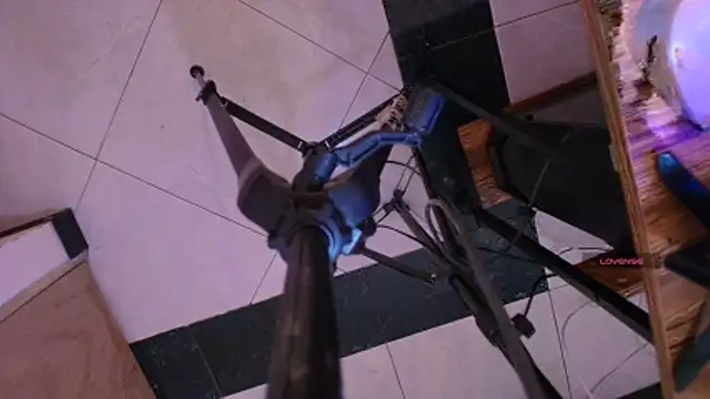 Terraelowen online show from 13, 11, 2025