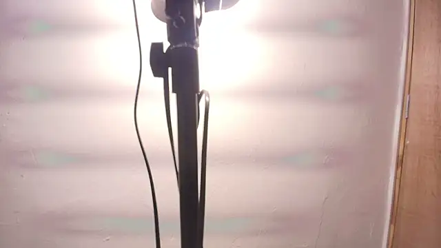 Terraelowen online show from 25, 2, 2026