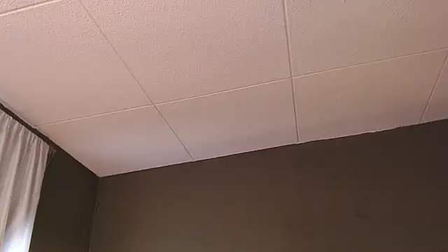 PaulEvens online show from 5, 12, 2025