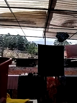 solpeich online show from 4, 4, 2026