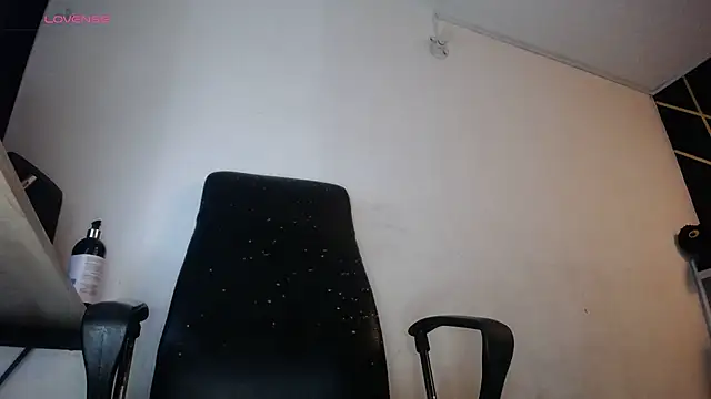 Snapshot of LickMyInk chatting on 1, 2, 2026 LickMyInk online show from 1, 2, 2026