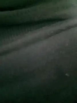 Rose 194 online show from 14, 10, 2025