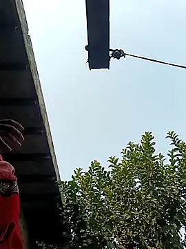 Snapshot of heena3355 chatting on 2, 12, 2025 heena3355 online show from 2, 12, 2025