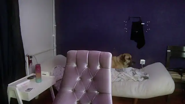 turkishTransEfsun online show from 2, 10, 2025