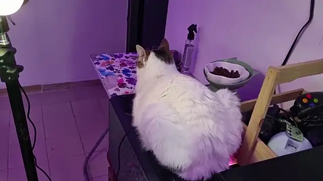 Snapshot of Lovers_cave chatting on 19, 12, 2025 Lovers cave online show from 19, 12, 2025