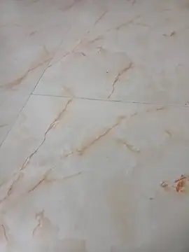 Snapshot of Samantaapu chatting on 16, 11, 2025 Samantaapu online show from 16, 11, 2025