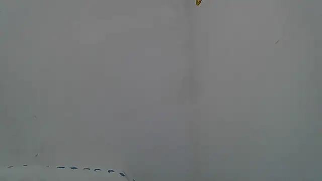 Kevintdx online show from 11, 4, 2026