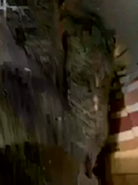 Snapshot of anhye8 chatting on 8, 2, 2026 anhye8 online show from 8, 2, 2026