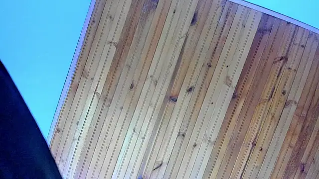 Angel kanon online show from 28, 2, 2026