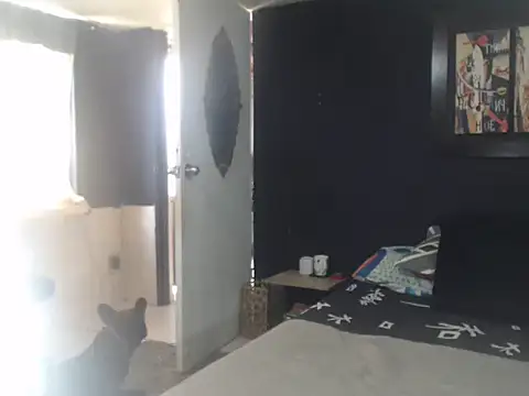 Snapshot of Dara-montenegro chatting on 16, 10, 2025 Dara-montenegro online show from 16, 10, 2025