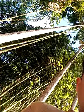 Johlrd online show from 17, 12, 2025