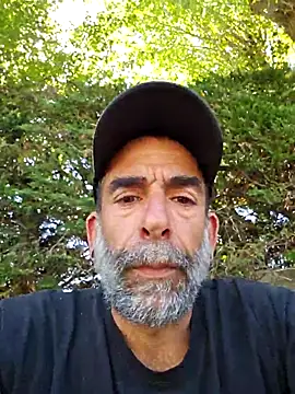 Stingles online show from 7, 8, 2026