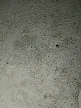 Snapshot of altafhyd chatting on 5, 10, 2025 altafhyd online show from 5, 10, 2025