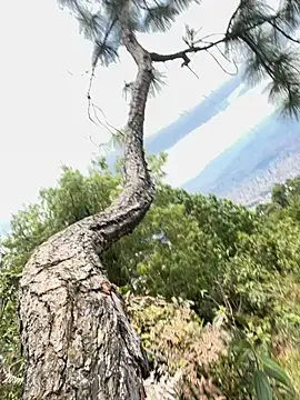 Snapshot of Alexis_Spicter chatting on 16, 9, 2025 Alexis Spicter online show from 16, 9, 2025