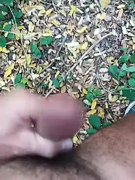 pegaso369 online show from 22, 10, 2025