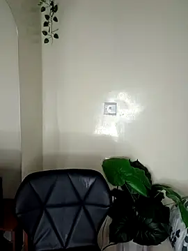 Nedambale online show from 27, 3, 2026