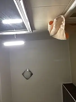 Lexi Storm online show from 8, 2, 2026