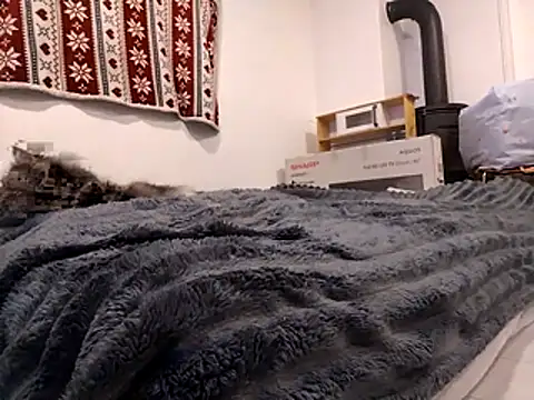 HoneySquirrel online show from 10, 10, 2025