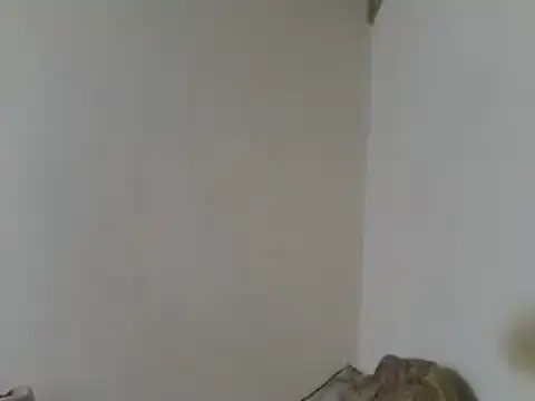 elpoop7305 online show from 23, 4, 2026