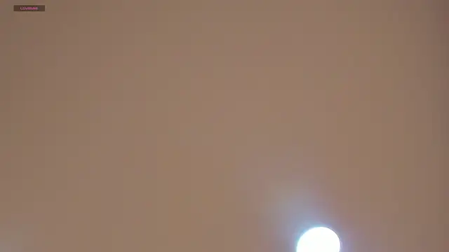 CharlotteBrownn  online show from 6, 6, 2026